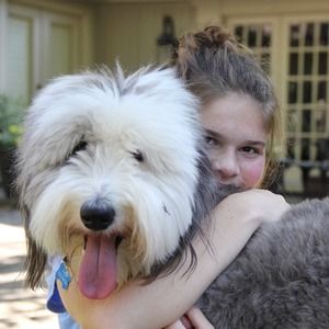 Meet your Posher, Foster